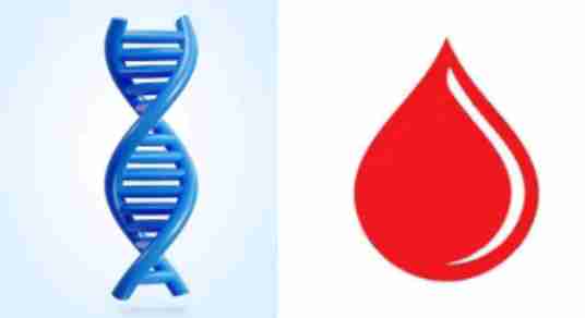 The Differences Between Blood Group and Genotype