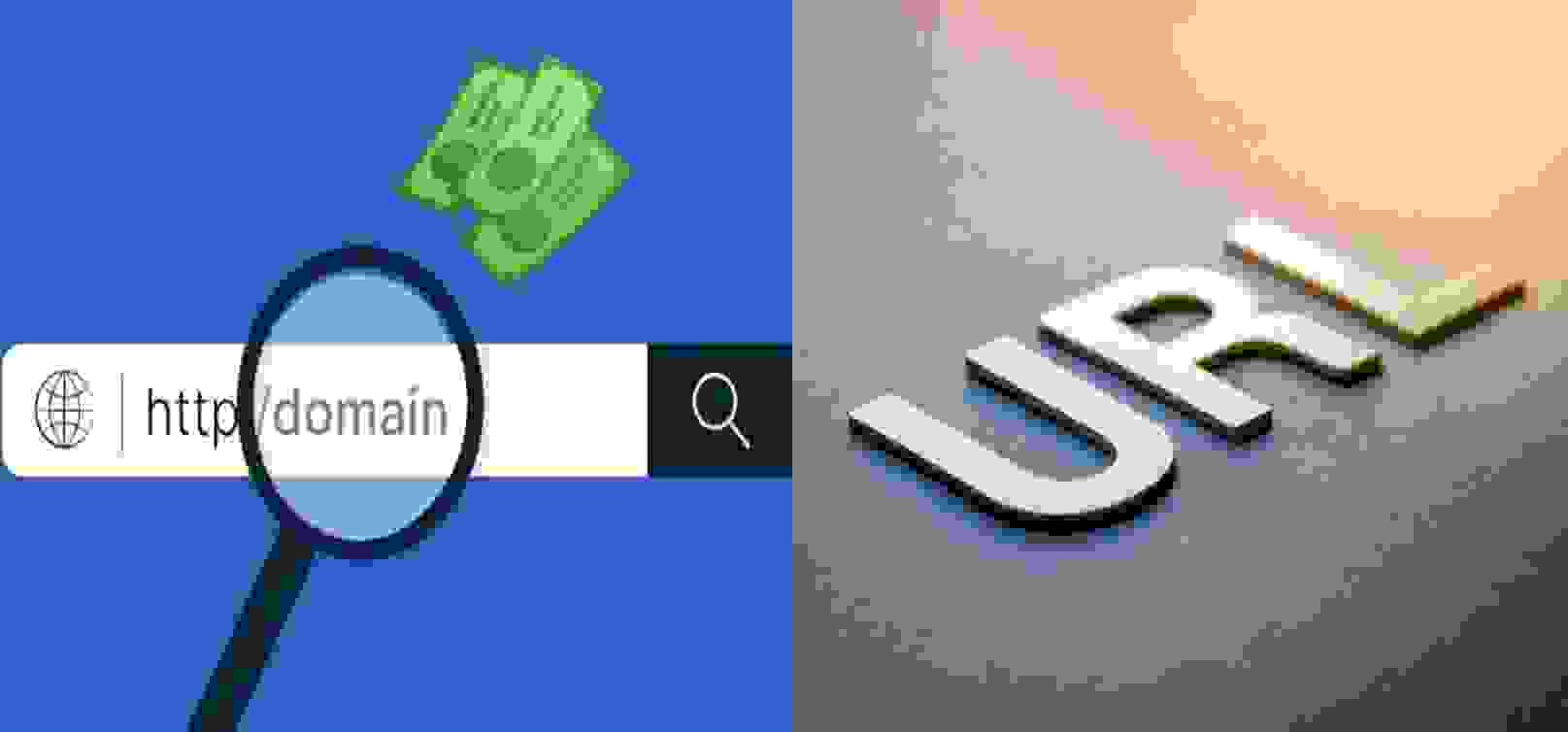 The Differences Between Domain and URL