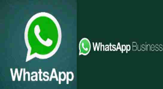 The Differences Between WhatsApp and WhatsApp Business